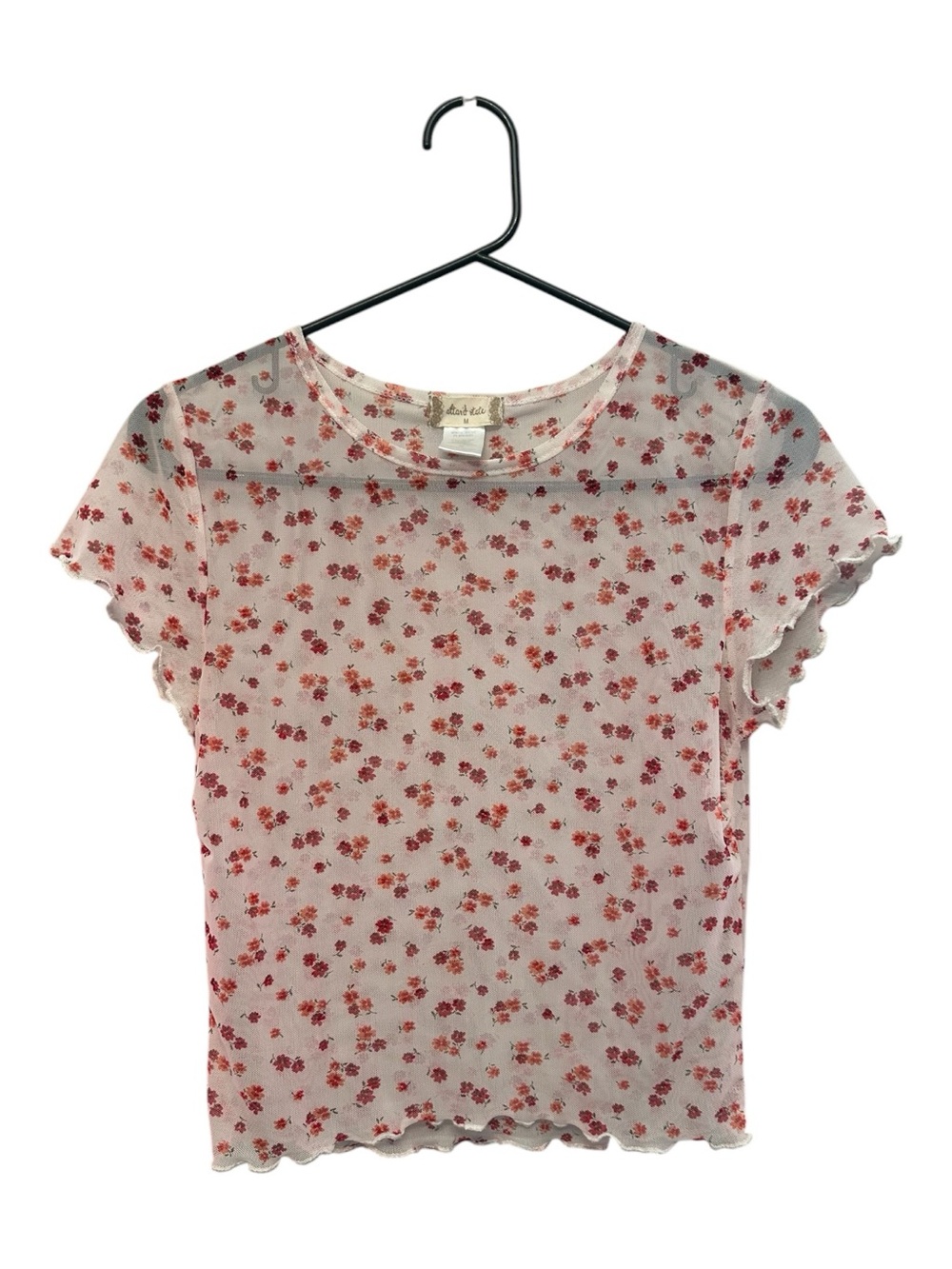 Altar'd State Pink & Red Floral Sheer Crop Top Grunge/Coquette Size Medium
